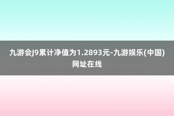 九游会J9累计净值为1.2893元-九游娱乐(中国)网址在线