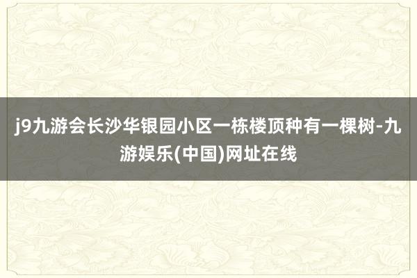 j9九游会长沙华银园小区一栋楼顶种有一棵树-九游娱乐(中国)网址在线